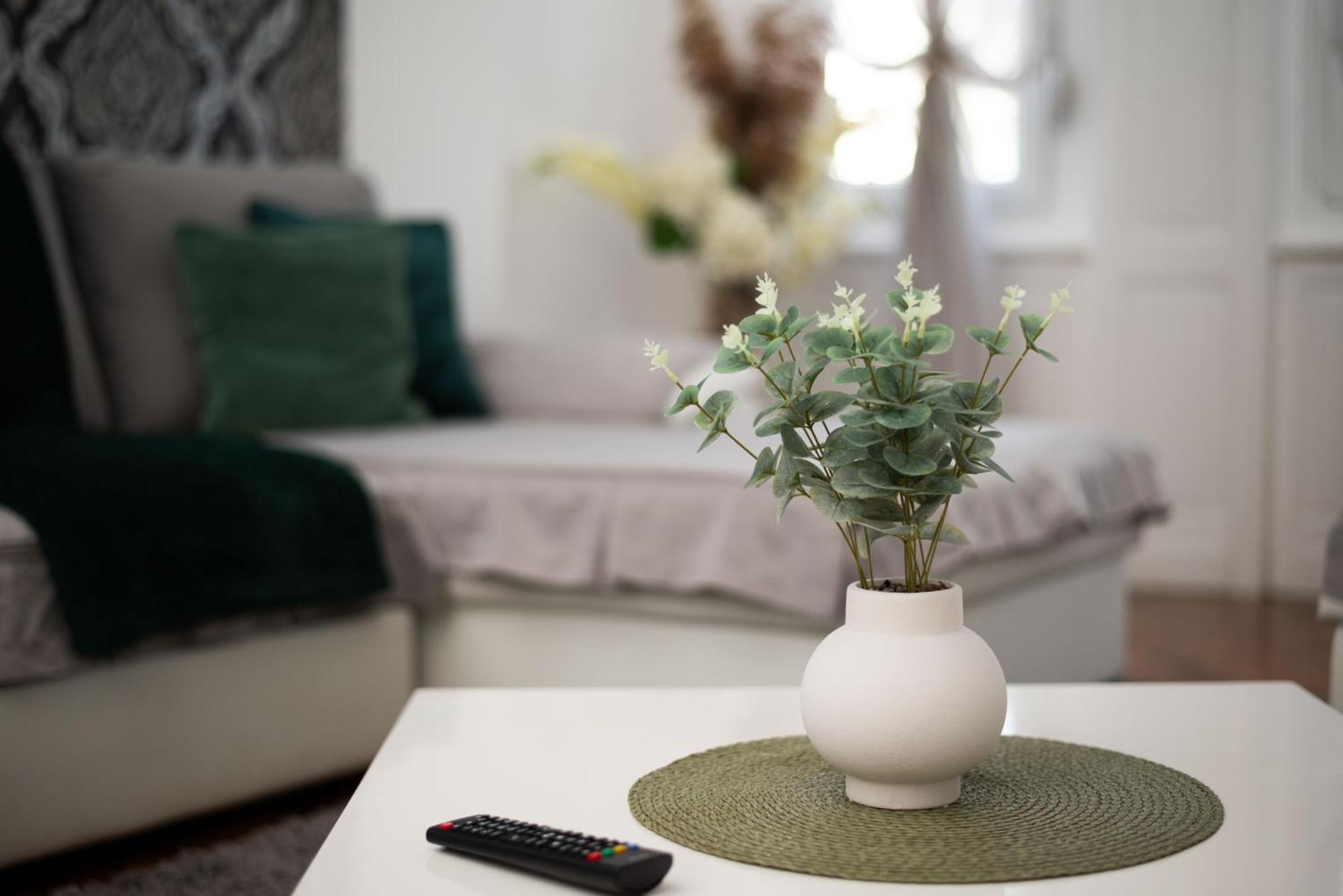 Apartment Primula 수보티차 외부 사진